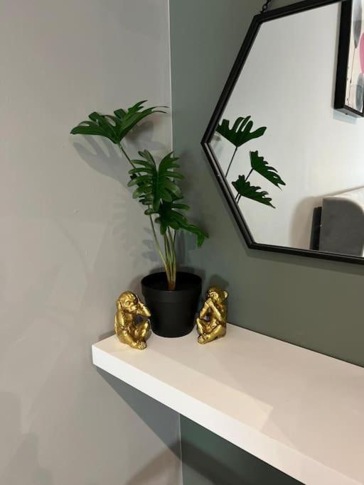 Peaceful & Stylish Brighton Studio Apartment Exteriör bild